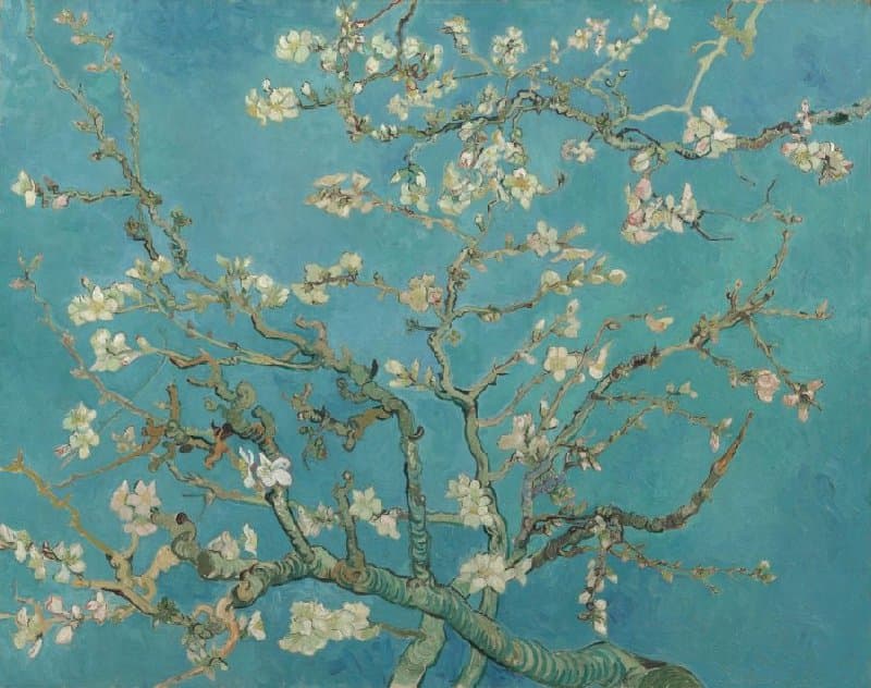 Artelo - Your Art Pass featuring Almond Blossom by Vincent van Gogh