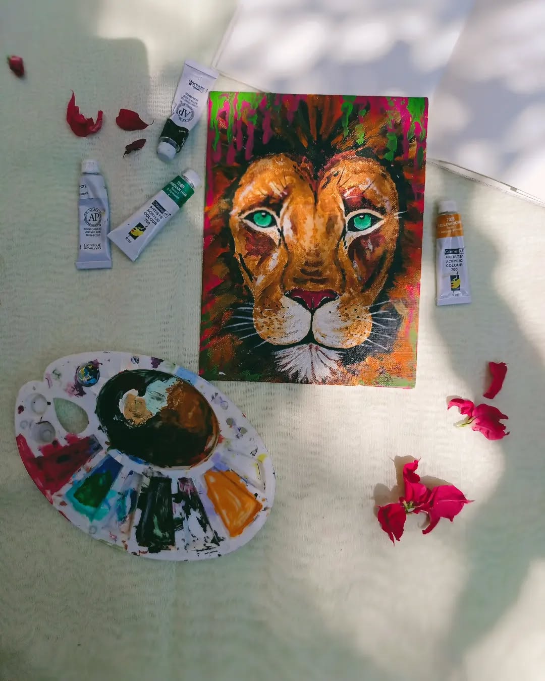 Trail Running Adventure